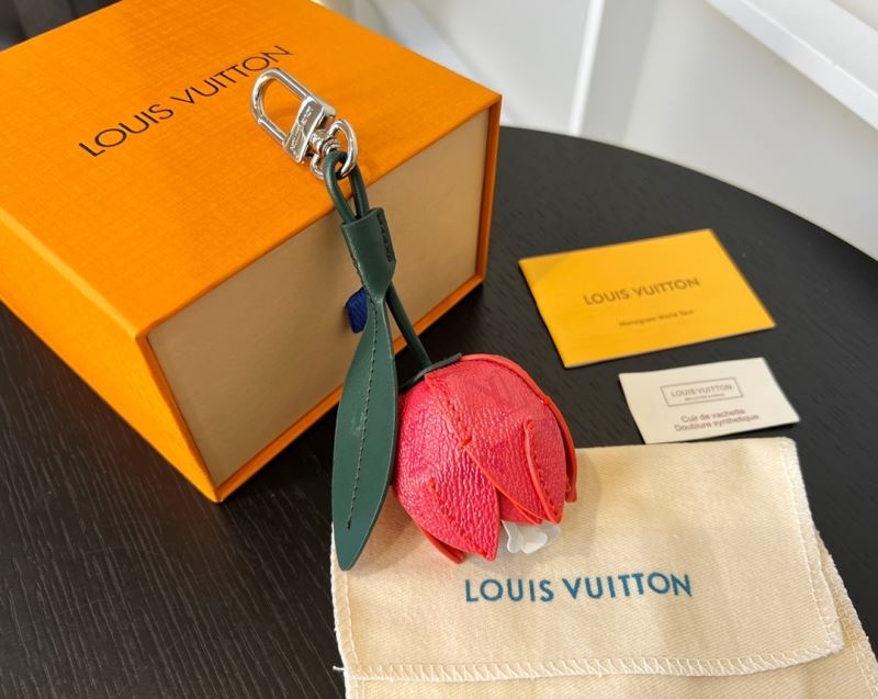 Louis Vuitton Bags Accessories